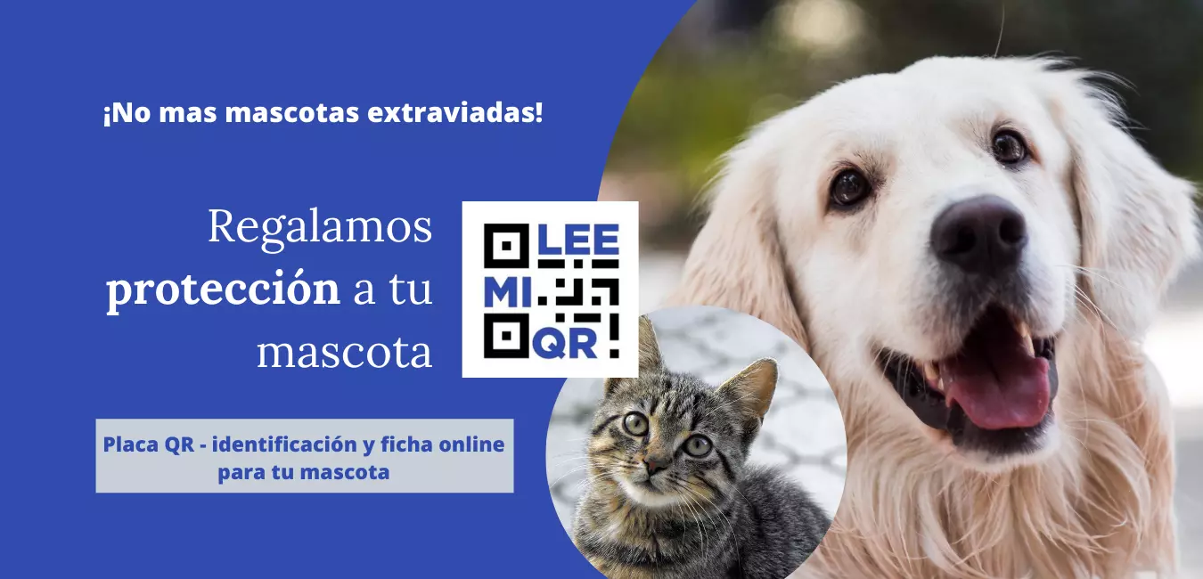 Perro y gato con una placa QR para identificarlos sin se pierden